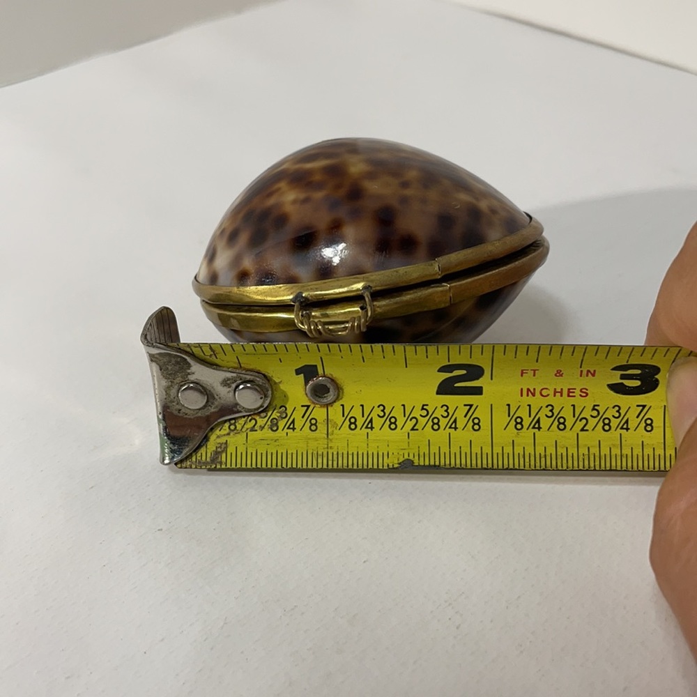 Vintage Tiger Cowry Hinged Sea Shell Trinket/Jewelry/… - Gem